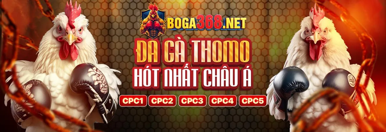 Sân vận động sôi động với logo c54 trang chủ