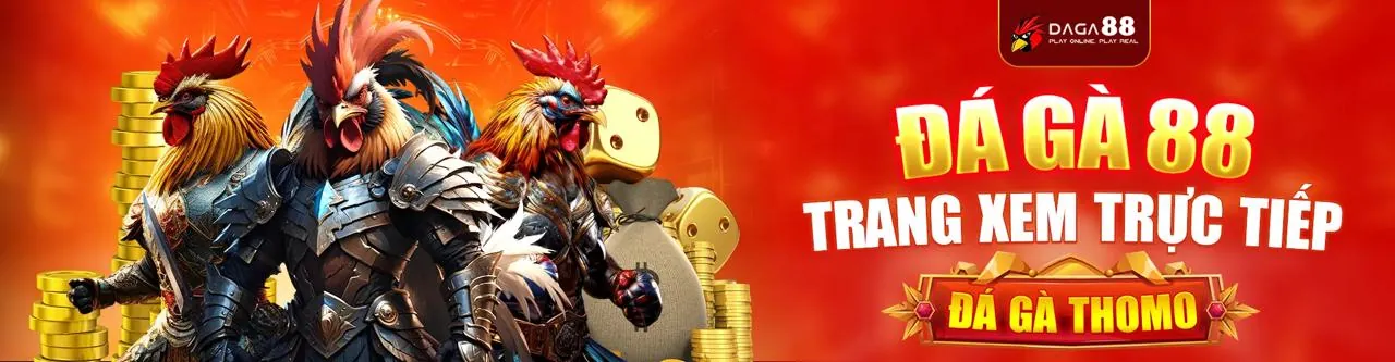 Đá gà trực tuyến kịch tính tại C54 Trang Chủ